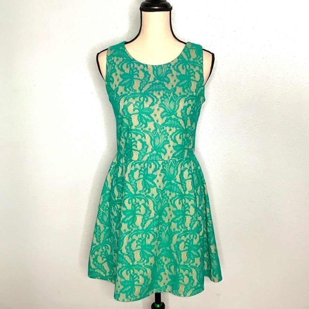 Gorgeous Skater Style Dress by Three Hearts